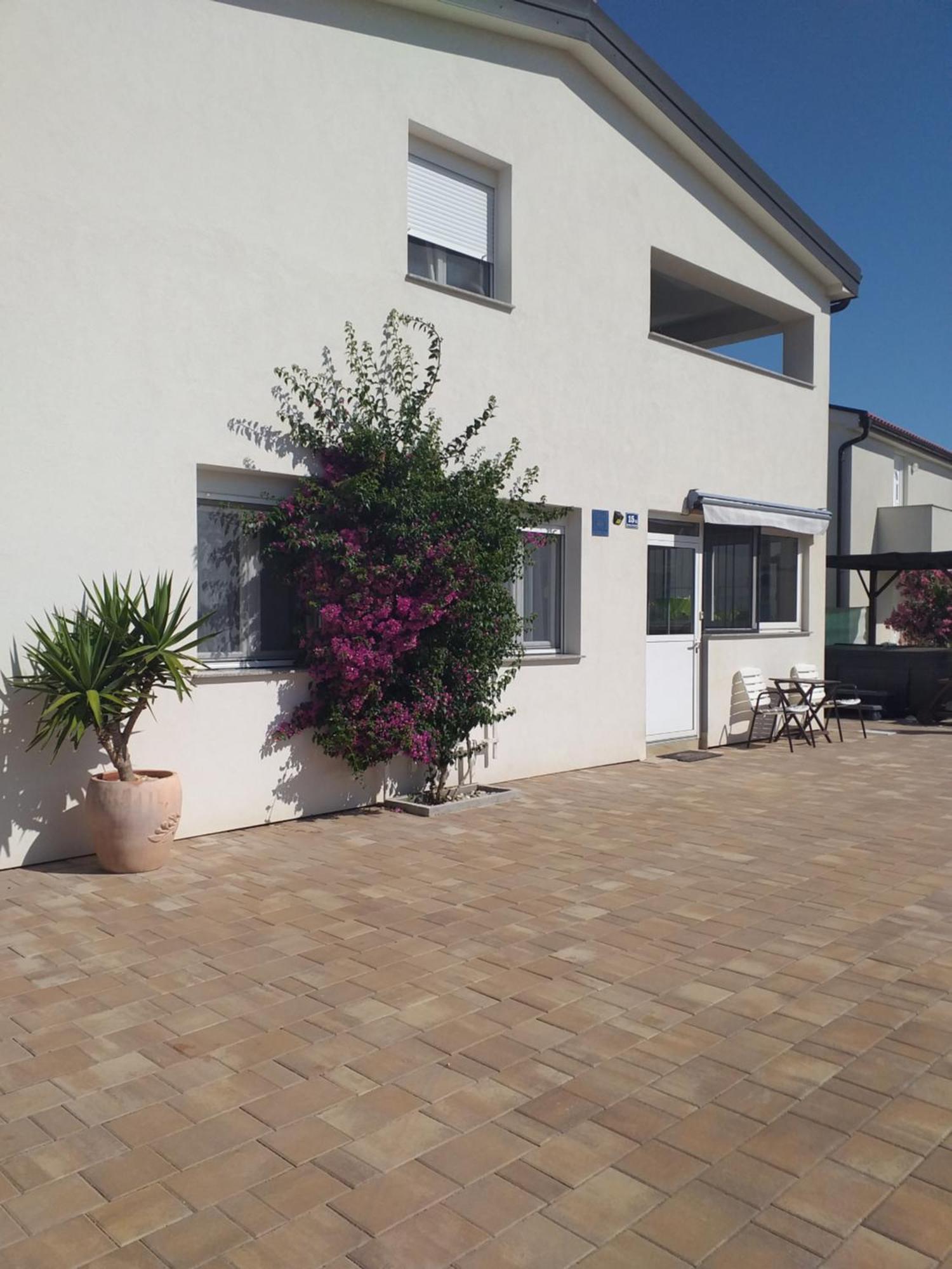 Apartment Dvorak Vir Εξωτερικό φωτογραφία